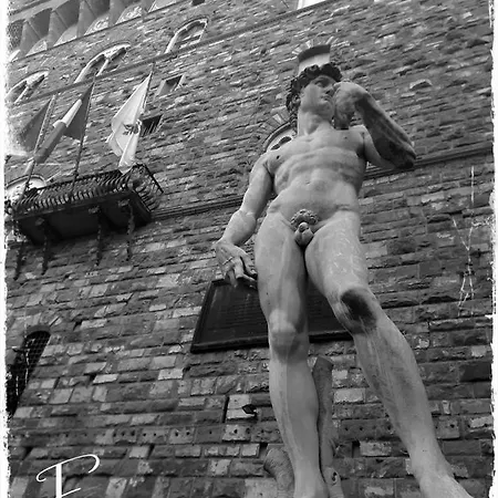 La Cignarella *